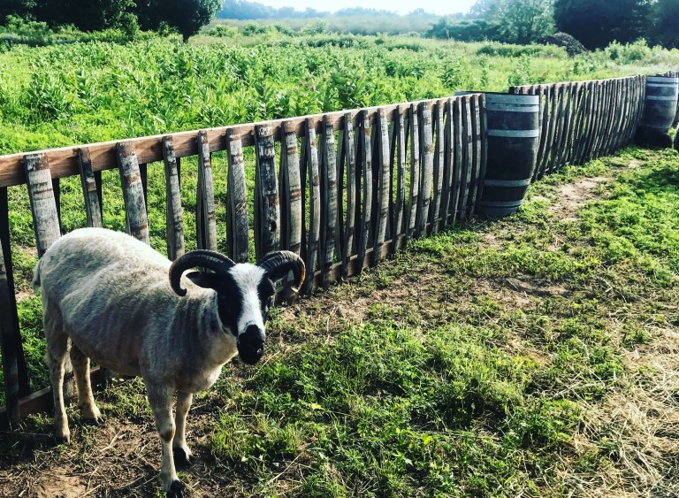 E4AAD916-8FFA-4795-B9C4-41928F95D3E0